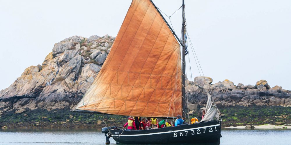 Balade aux Vieux-Gréement en Voilier Traditionnel